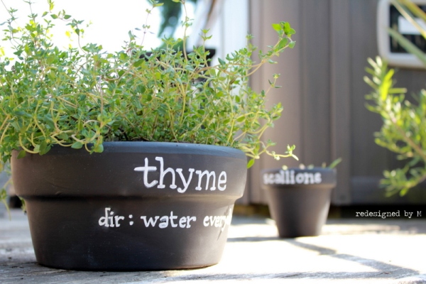 Chalkboard Painted Planter Pots with watering directions | Redesigned By M